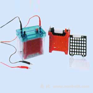 DYCZ-40D迷你轉印電泳儀(槽)