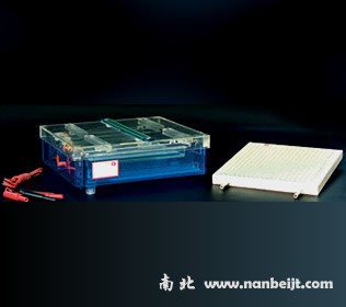 DYCP-37B等電聚焦多用途電泳儀(槽)