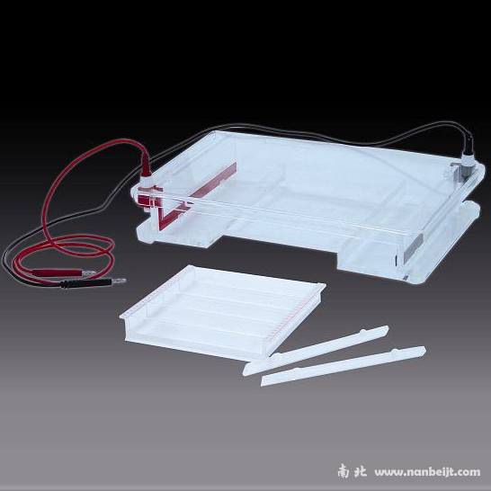 DYCP-31F瓊脂糖水平電泳儀(槽)