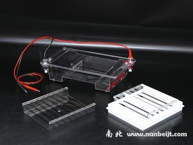 DYCP-31E瓊脂糖水平電泳儀(槽)