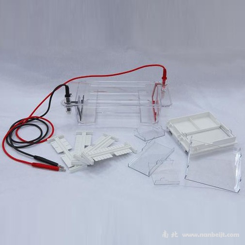 DYCP-31DN瓊脂糖水平電泳儀(槽)