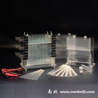 DYCZ-21多用途電泳儀(槽)