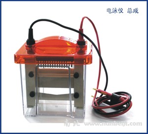 BG-verMINI垂直電泳儀