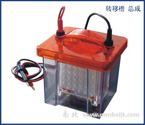 BG-blotMINI迷你垂直轉印儀