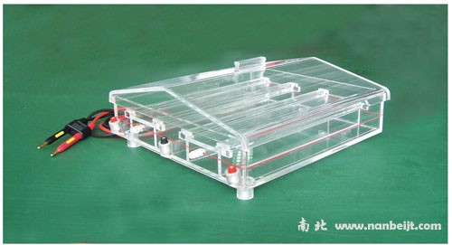 BG-caTANK免疫電泳儀