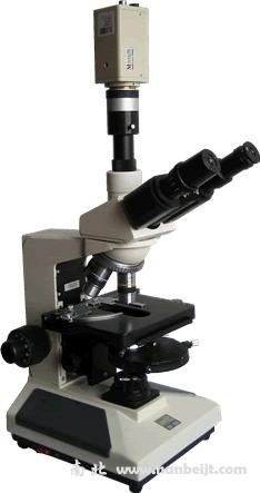 BM-PHC電腦型相襯生物顯微鏡