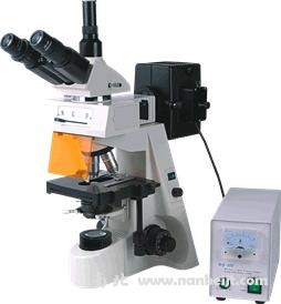 BM-19AY熒光顯微鏡