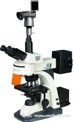 BM-21AYS數碼落射熒光顯微鏡