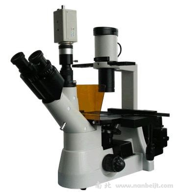 BM-38XBC電腦型倒置熒光顯微鏡