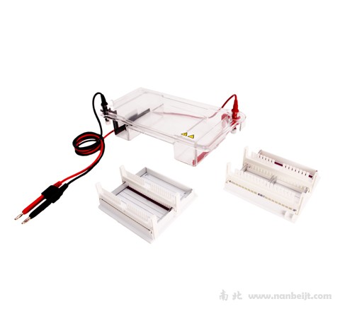 JY-SPCT水平電泳槽