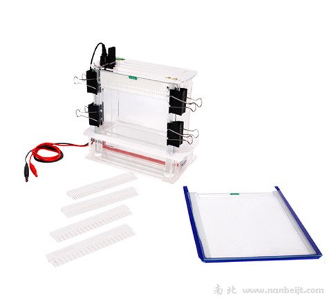 JY-SCZ6垂直電泳槽
