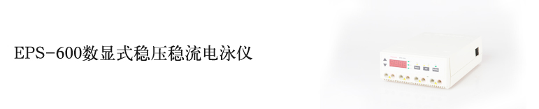 EPS-600電泳儀