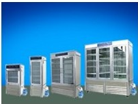 RXZ-800C人工氣候箱