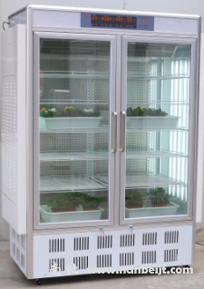 GXZ-600B光照培養箱