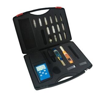 DZ-C 12參數全中文水產養殖儀