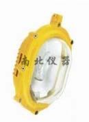 內場強光防爆燈