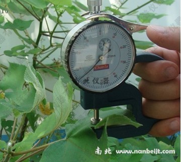 YH-1葉片厚度測定儀