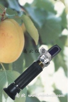 WZ105水果糠度計