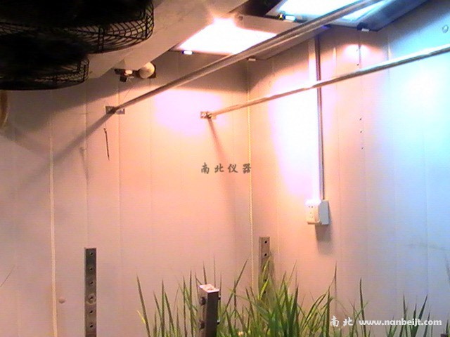 人工補光型氣候室