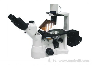 BDS200-FL倒置熒光顯微鏡