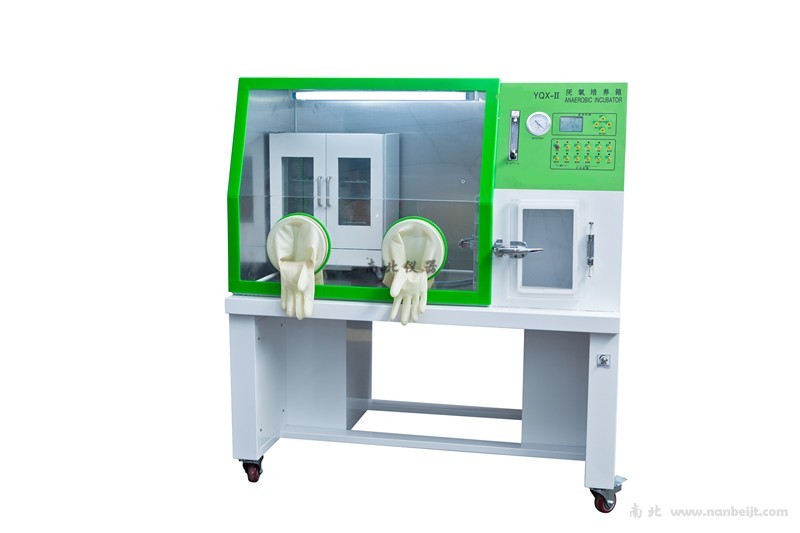 YQX-Ⅱ厭氧培養(yǎng)箱