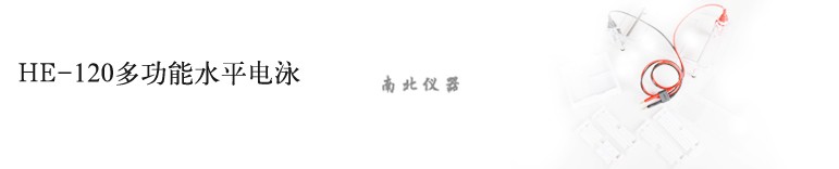 HE-120電泳槽