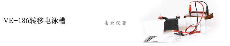 VE-186電泳槽