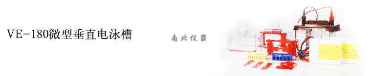 VE-180電泳槽