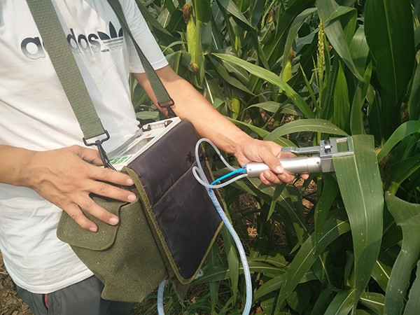 SY-1055植物呼吸測(cè)定儀