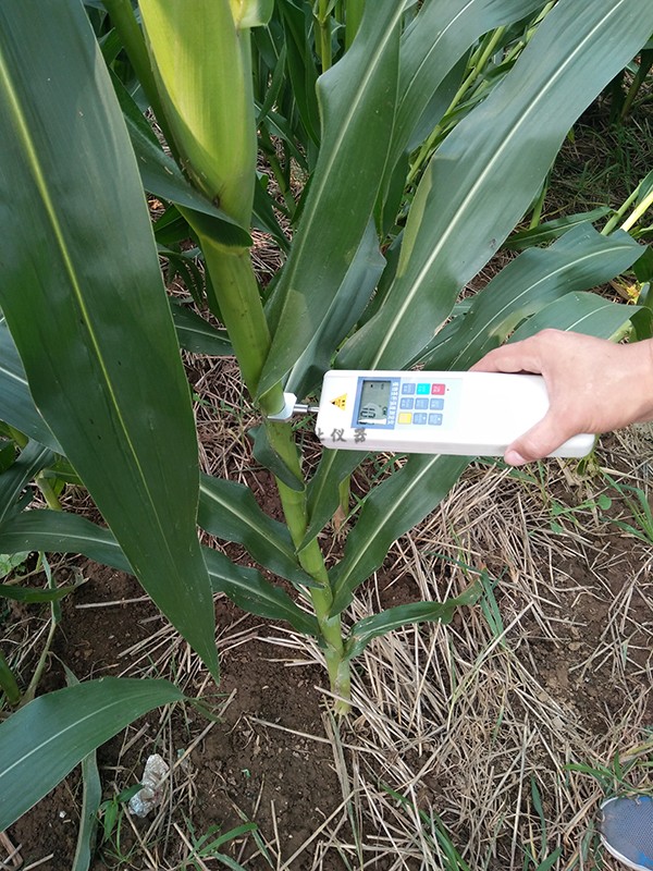 SY-S031植物抗倒伏測定儀