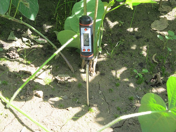 SY-6310/3001針式土壤溫度計