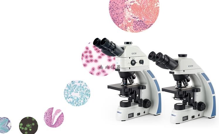 EX31生物顯微鏡