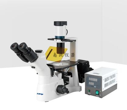 XD倒置熒光顯微鏡