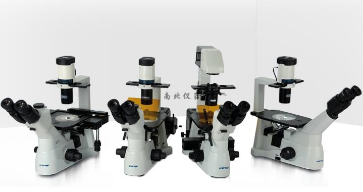 XD倒置生物顯微鏡