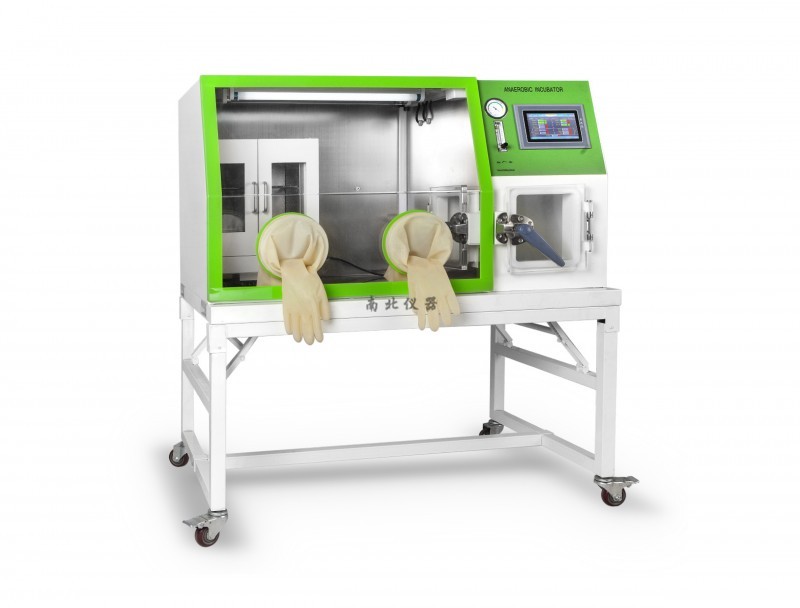 NB-YYX-8B厭氧培養(yǎng)箱