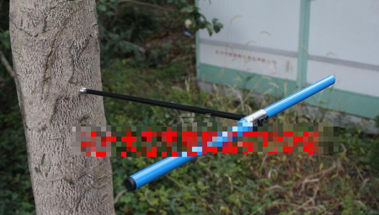 C0100樹木生長錐植物生長錐