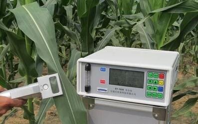 3051D植物光合作用測定儀