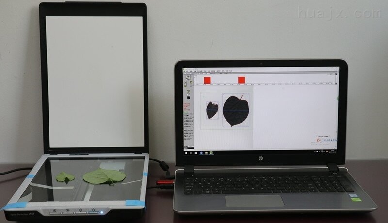 LF1000葉面積圖像分析儀（掃描儀式）