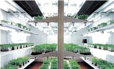 ZRS-1A智能人工氣候室