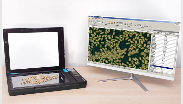 IPZ-W籽粒外觀品質分類識別檢測儀